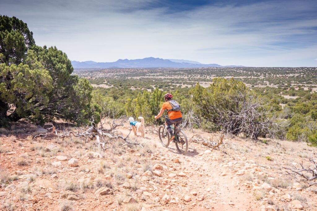A man and a dog on one of the best mountain biking trails in Farmington, NM, wiht mountain views and desert terrain.